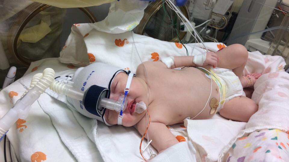 Fundraiser for Sarina Nichols by Lauren Soffer MiniMiracles The