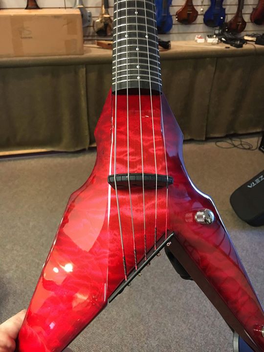 Fundraiser by Brigit O'Regan Viper Violin for Brigit O'Regan