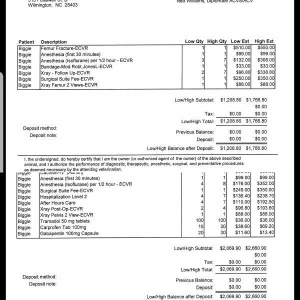 Fundraiser by Samantha Kroes Emergency Vet Bills for Biggie